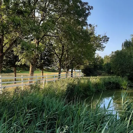 Mini-lejlighed Med Kokken - Deler Bad Og Toilet Med Nabolejlighed 1