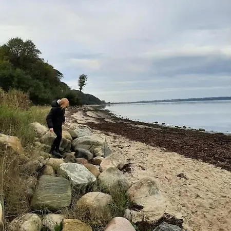 Mini-lejlighed Med Køkken - Deler Bad Og Toilet Med Nabolejlighed 1 Lejlighed