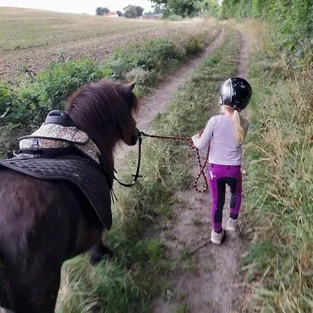 Mini-lejlighed Med Køkken - Deler Bad Og Toilet Med Nabolejlighed 1 *
