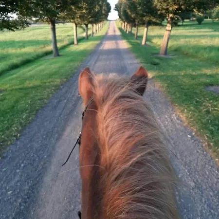 Lejlighed Mini-lejlighed Med Køkken - Deler Bad Og Toilet Med Nabolejlighed 1