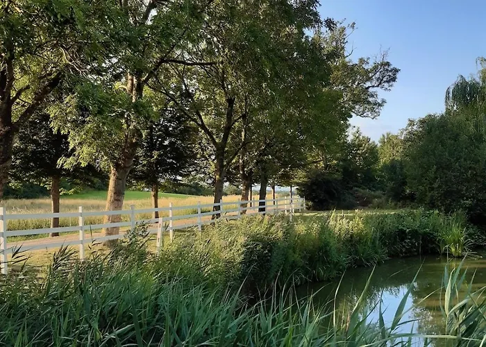 Mini-lejlighed Med Kokken - Deler Bad Og Toilet Med Nabolejlighed 1