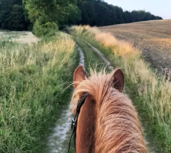 Mini-lejlighed Med Kokken - Deler Bad Og Toilet Med Nabolejlighed 1 Asperup