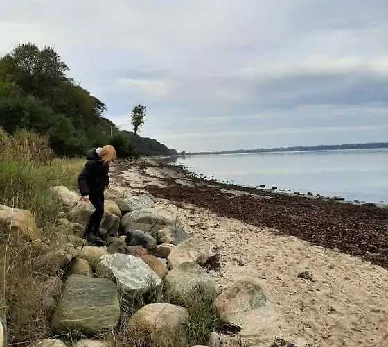 Mini-lejlighed Med Kokken - Deler Bad Og Toilet Med Nabolejlighed 1 דירה