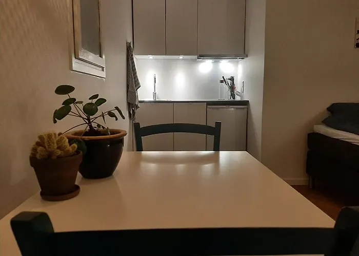 Mini-lejlighed Med Kokken - Deler Bad Og Toilet Med Nabolejlighed 1 דירה *