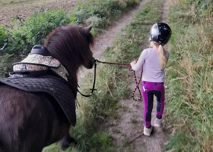 Mini-lejlighed Med Kokken - Deler Bad Og Toilet Med Nabolejlighed 1 *