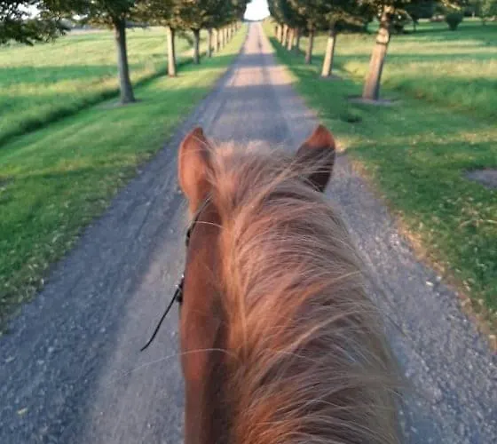 דירה Mini-lejlighed Med Kokken - Deler Bad Og Toilet Med Nabolejlighed 1